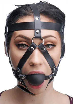 Head Harness with Ball Gag