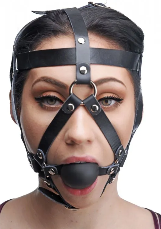 Head Harness with Ball Gag